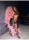 Комплект Білизни з Мереживом Victoria's Secret Very Sexy Rose Lace Push-Up Bra & Rose Lace High-Leg Cheeky Panty_1